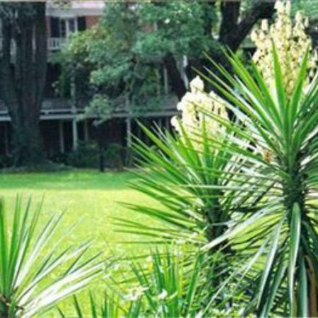 The Elms Bed And Breakfast Natchez Exterior photo