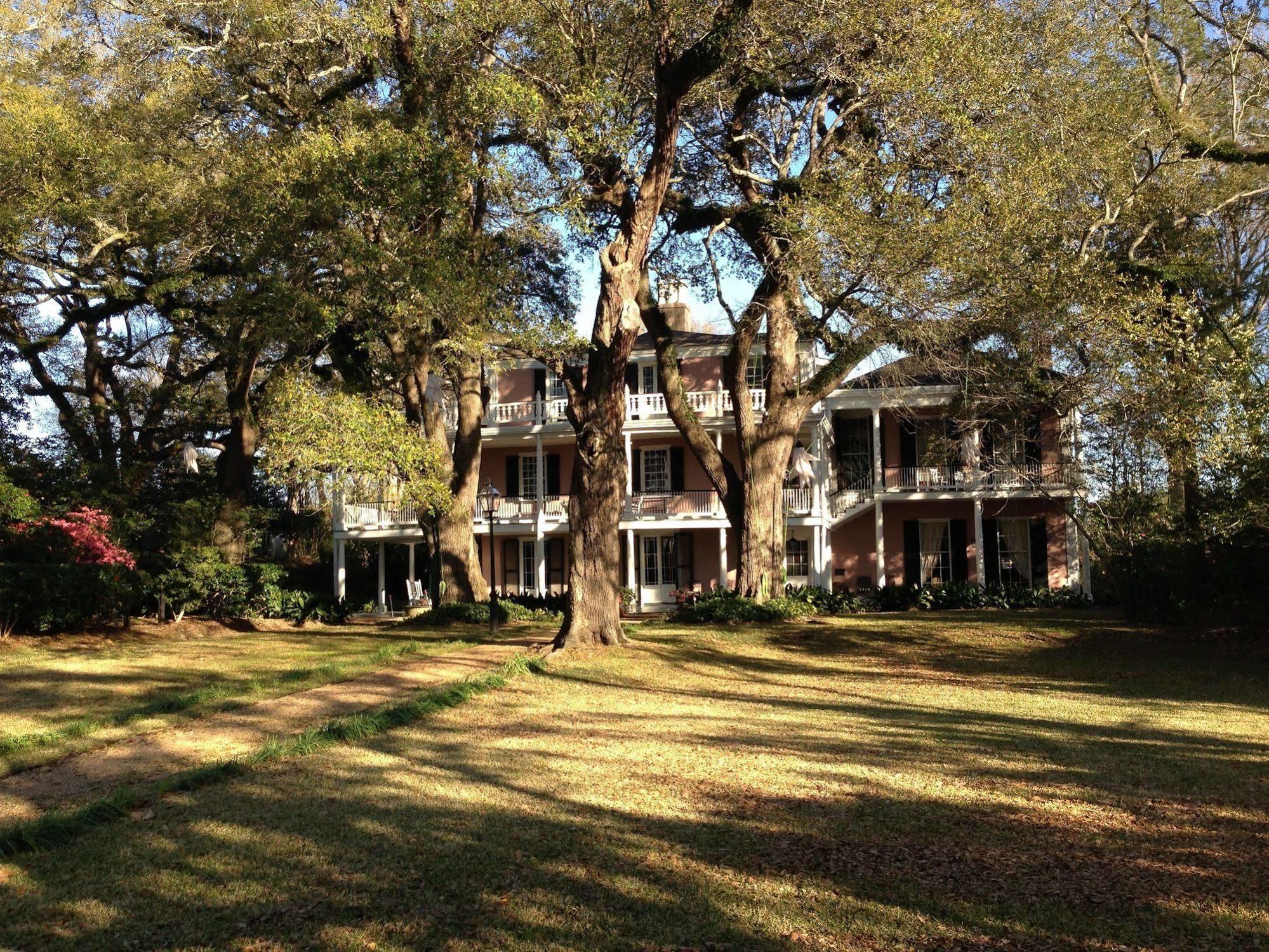 The Elms Bed And Breakfast Natchez Exterior photo