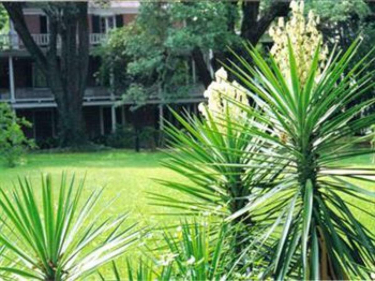 The Elms Bed And Breakfast Natchez Exterior photo